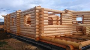 Как выбрать древесину для постройки дома - подходим к делу с умом
