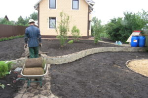 Как сделать газон на даче своими руками: пошаговая инструкция